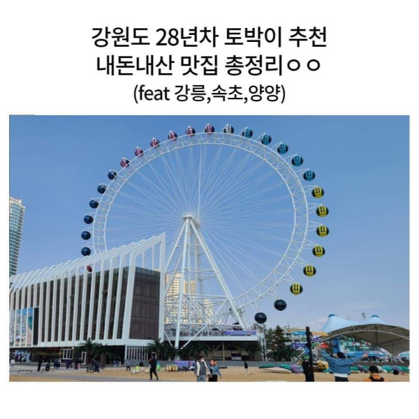 내돈내산 강원도 맛집 모음