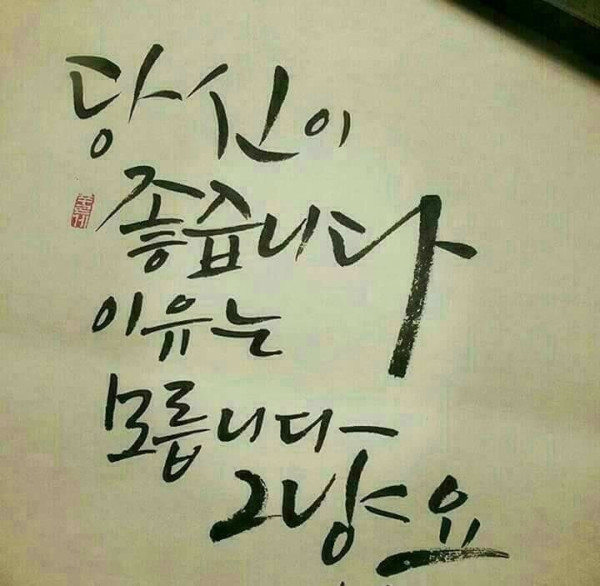 동타이완 처자