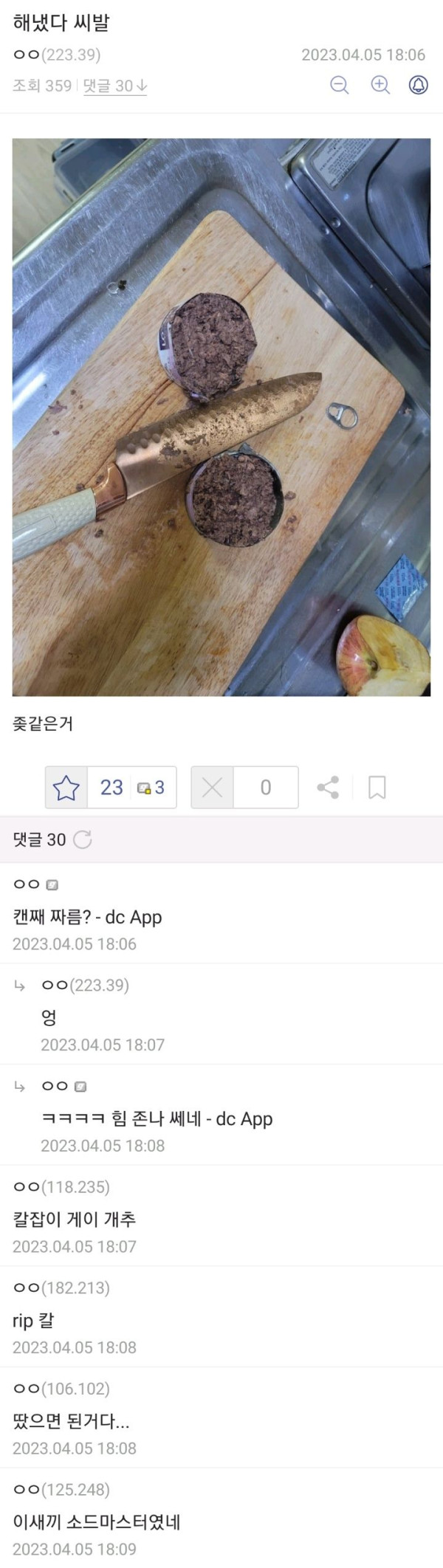 고양이에게 밥을 주려고 했는데