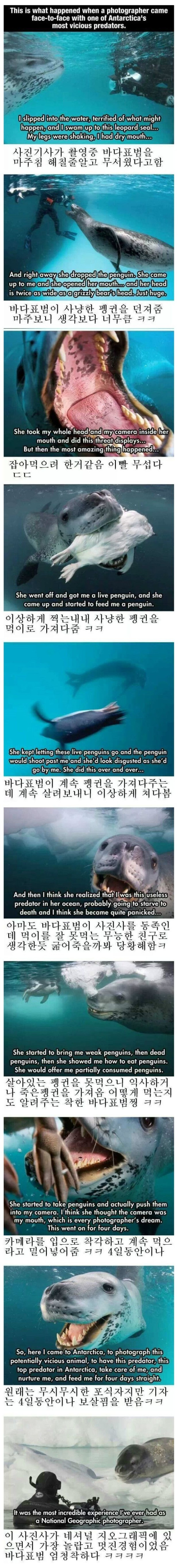 신기한 경험